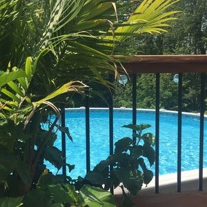 Meet your Posher, Stacey